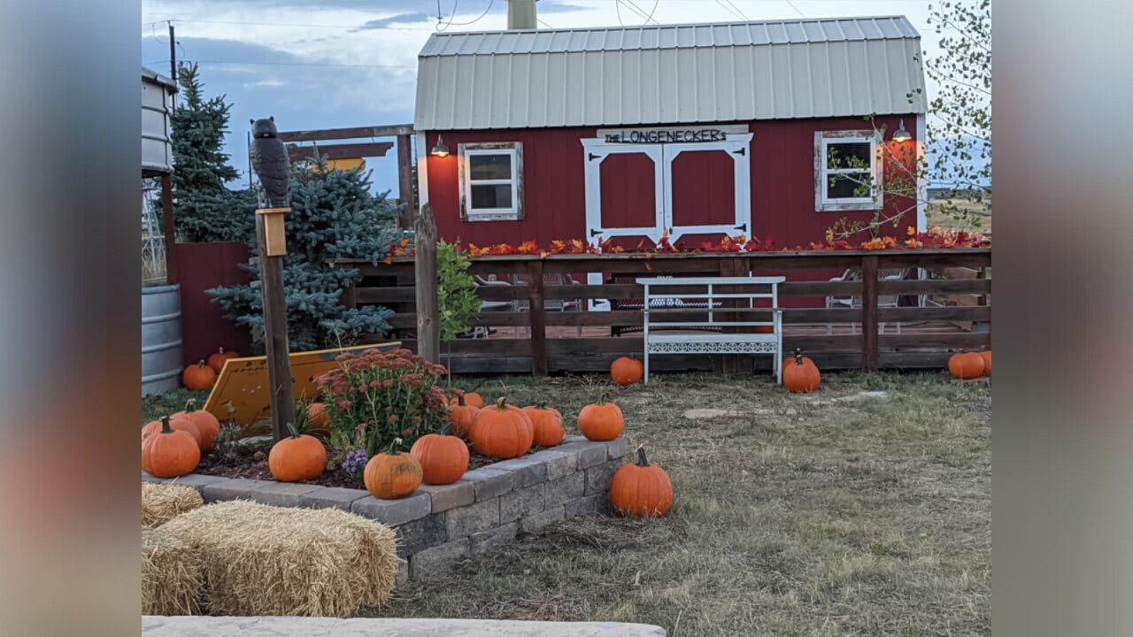 Long Neck Pumpkin Farm