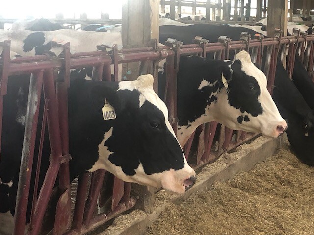 OSU helping struggling farmers