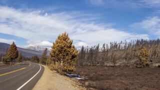 Poster image (1).jpg