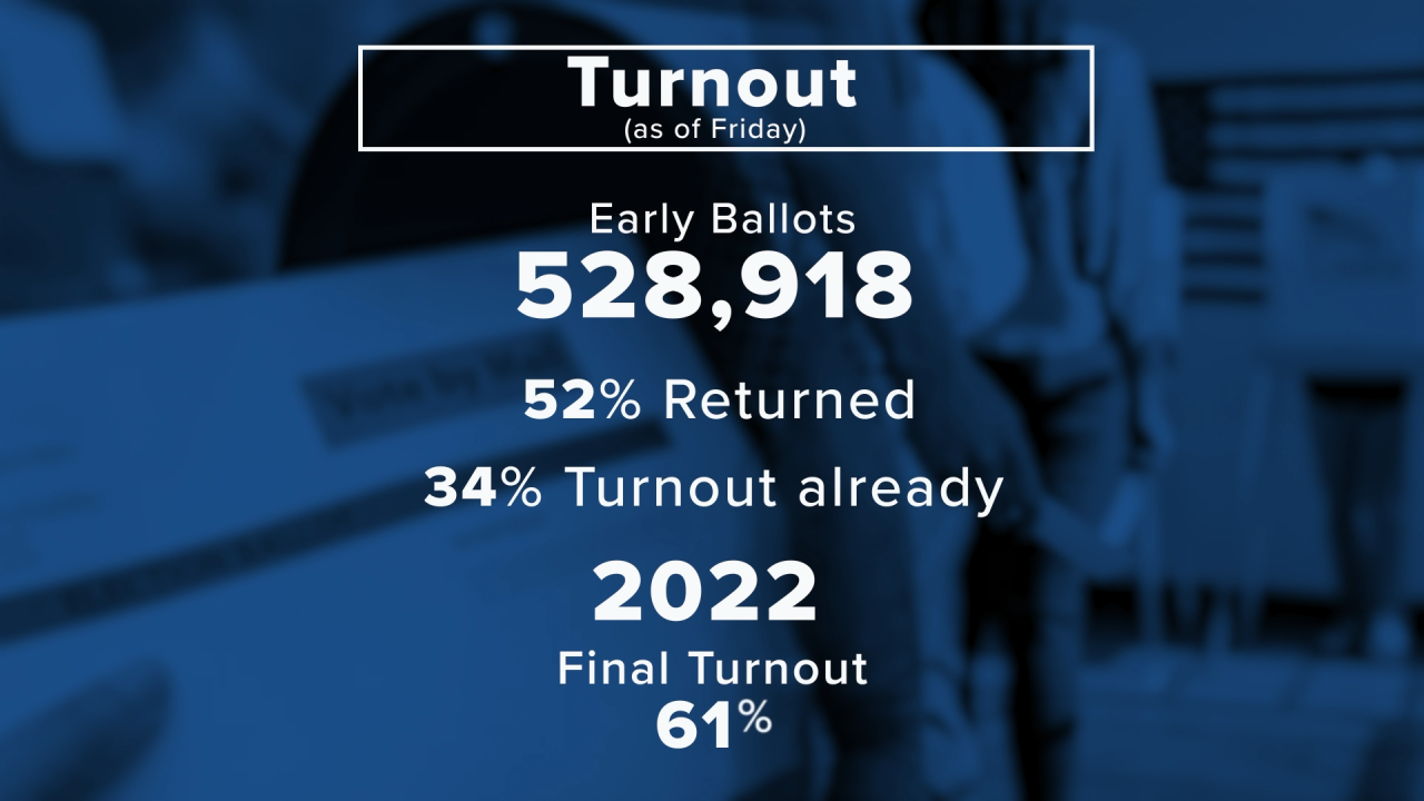 Voter Turnout 2026