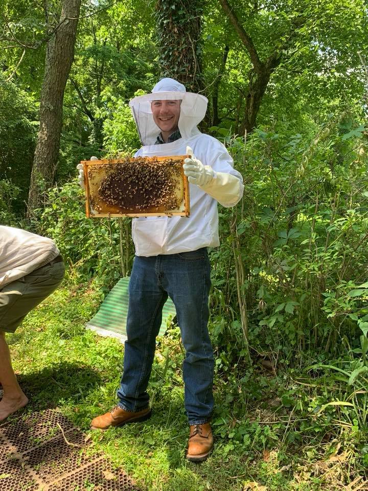 bees3