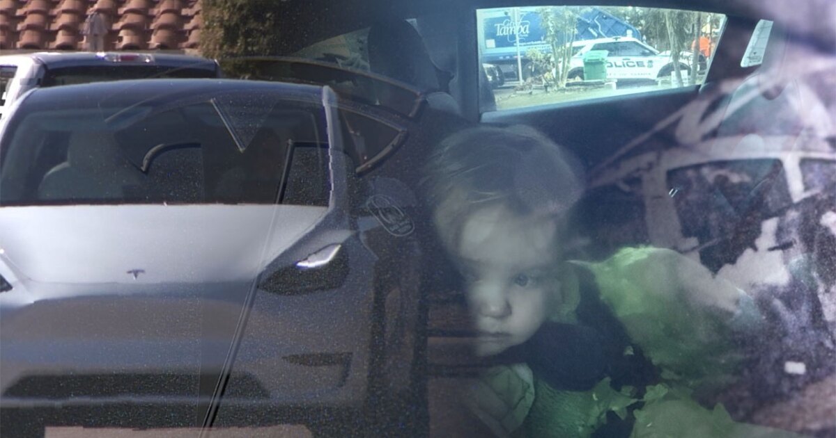 Electric car door failures linked to deaths, trapped children and new push for federal action