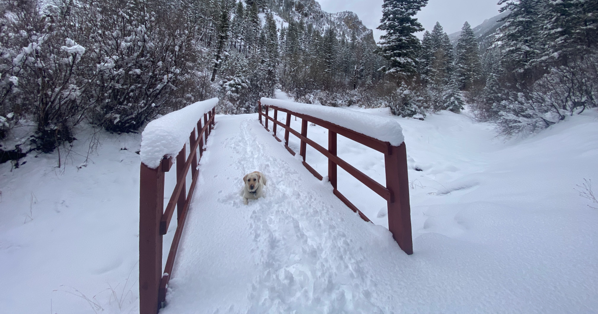 Some community members frustrated as snow continues to fall