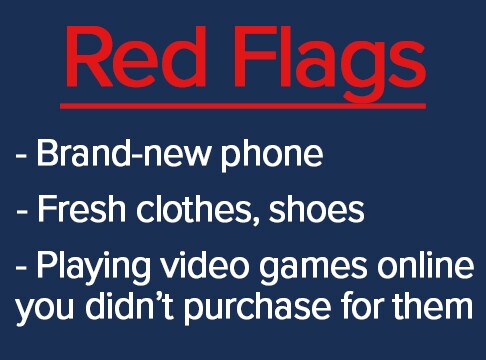 Red Flags for Video Game Smuggling.jpg