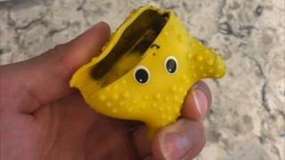 moldy bath toy