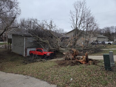 tree down at 52nd and Knox Ave in Merriam