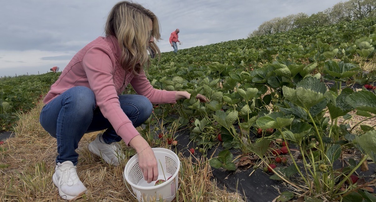 Jen in Strawberry field