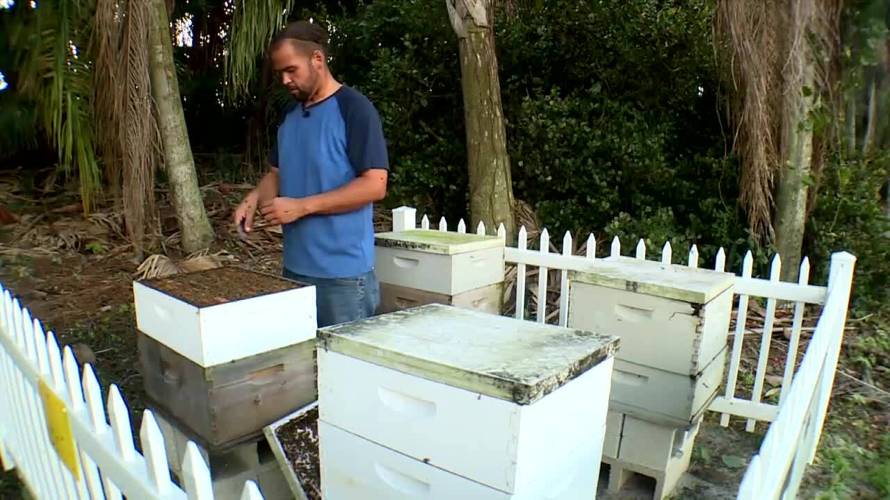 Christopher Alonso says he's benefitted from 3-day work week since joining Sierra's Bees
