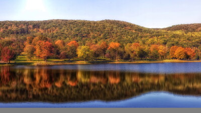 SUNNY FALL 