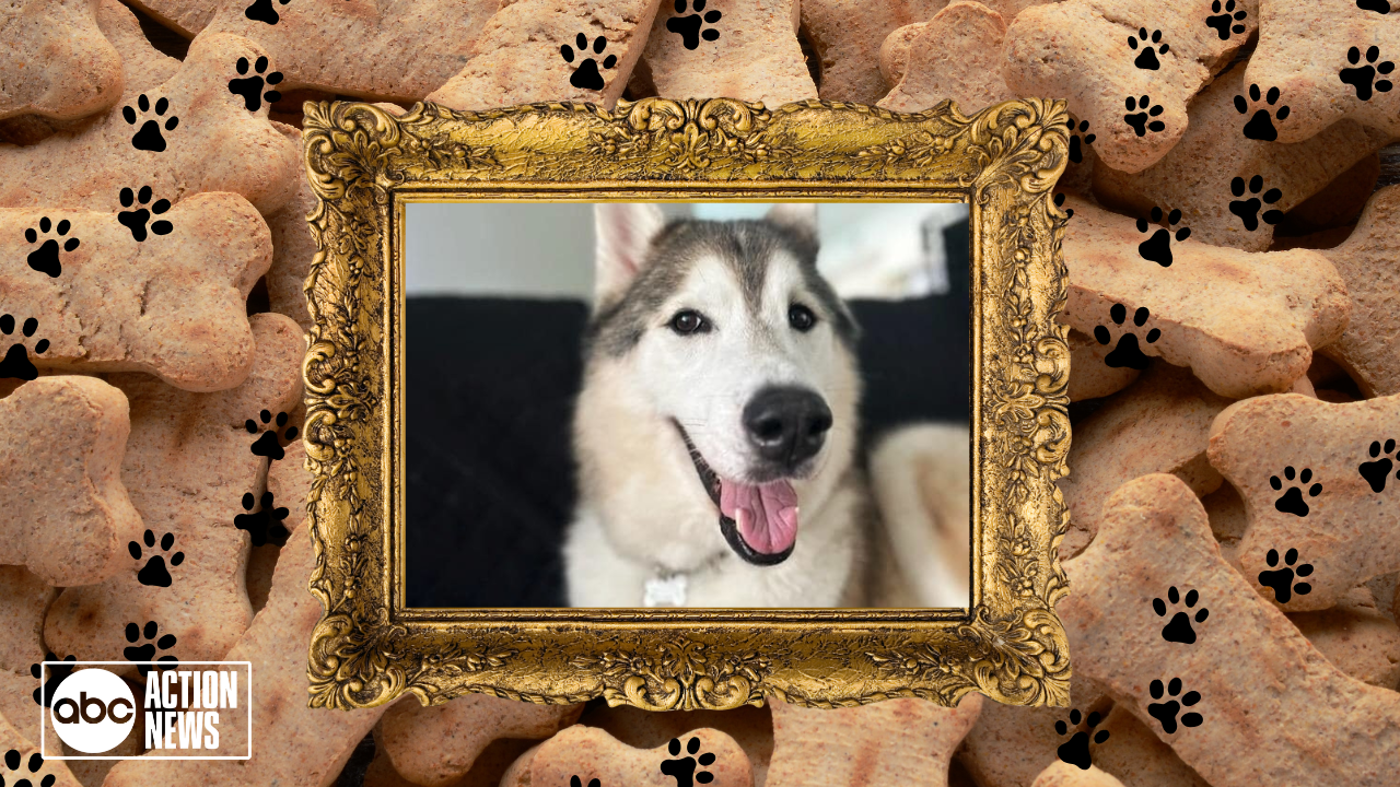 Rescues in Action Isha