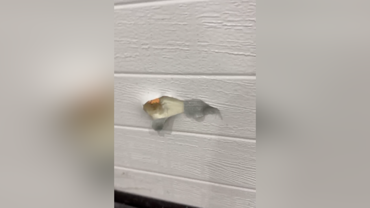 bullet hole.png