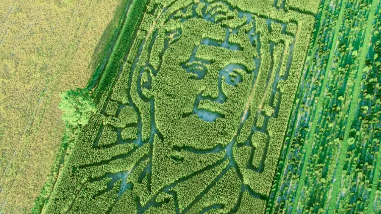 Evansville Farm Honors Political Activist Charlie Kirk With Corn Maze evansville-farm-honors-political-activist-charlie-kirk-with-corn-maze
