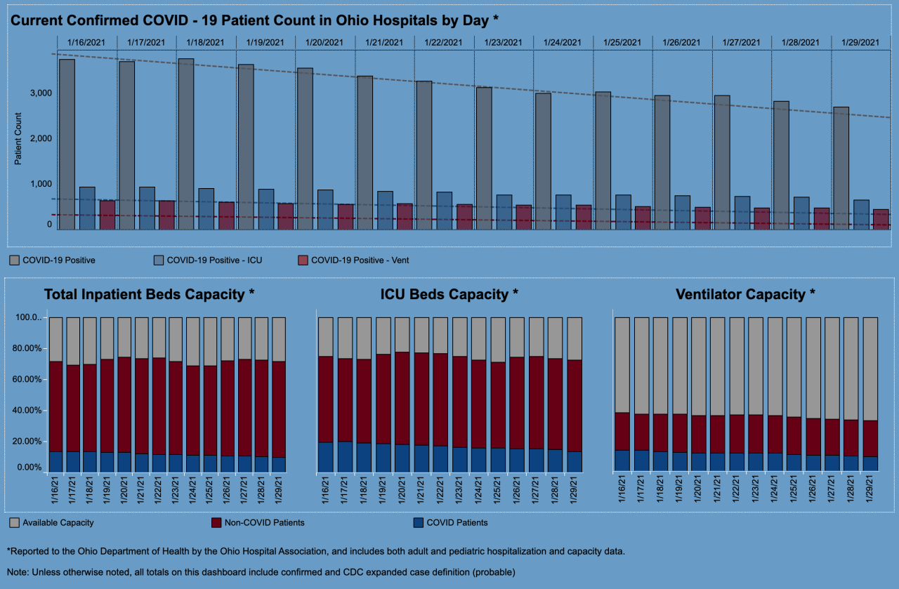 Cv hospital metrics 1/29/21