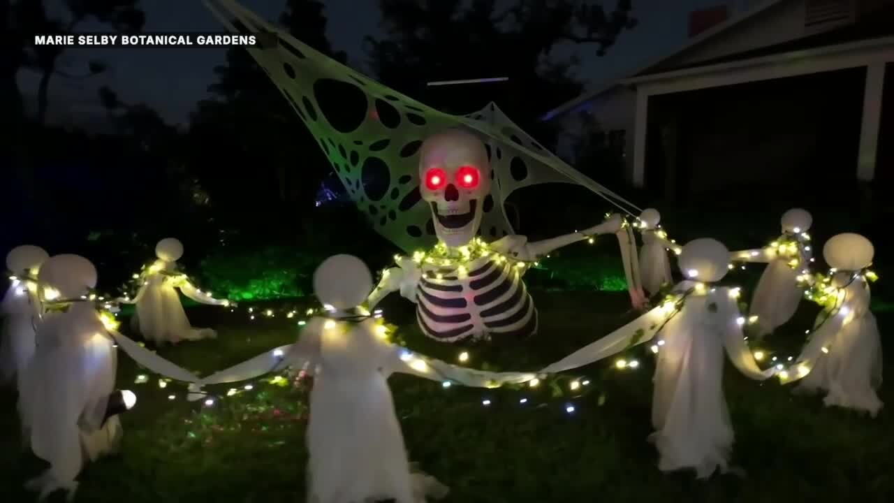 Lights at Spooky Point