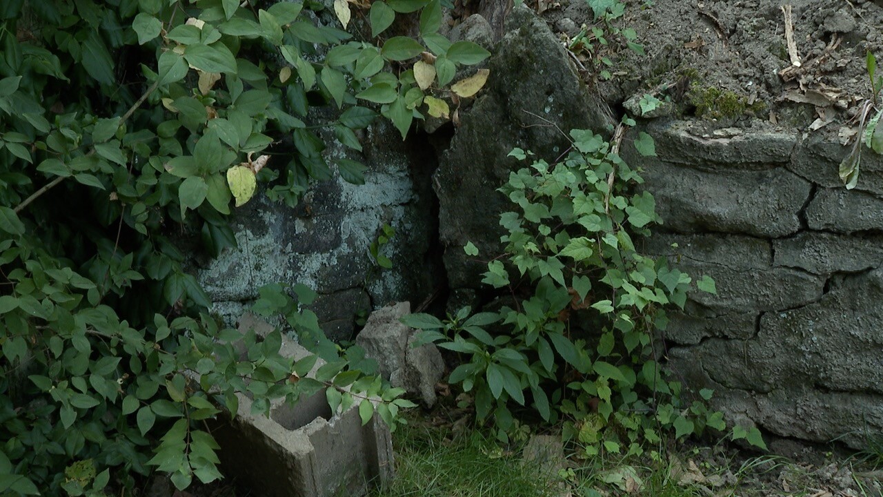 Wall Cracked by.jpg
