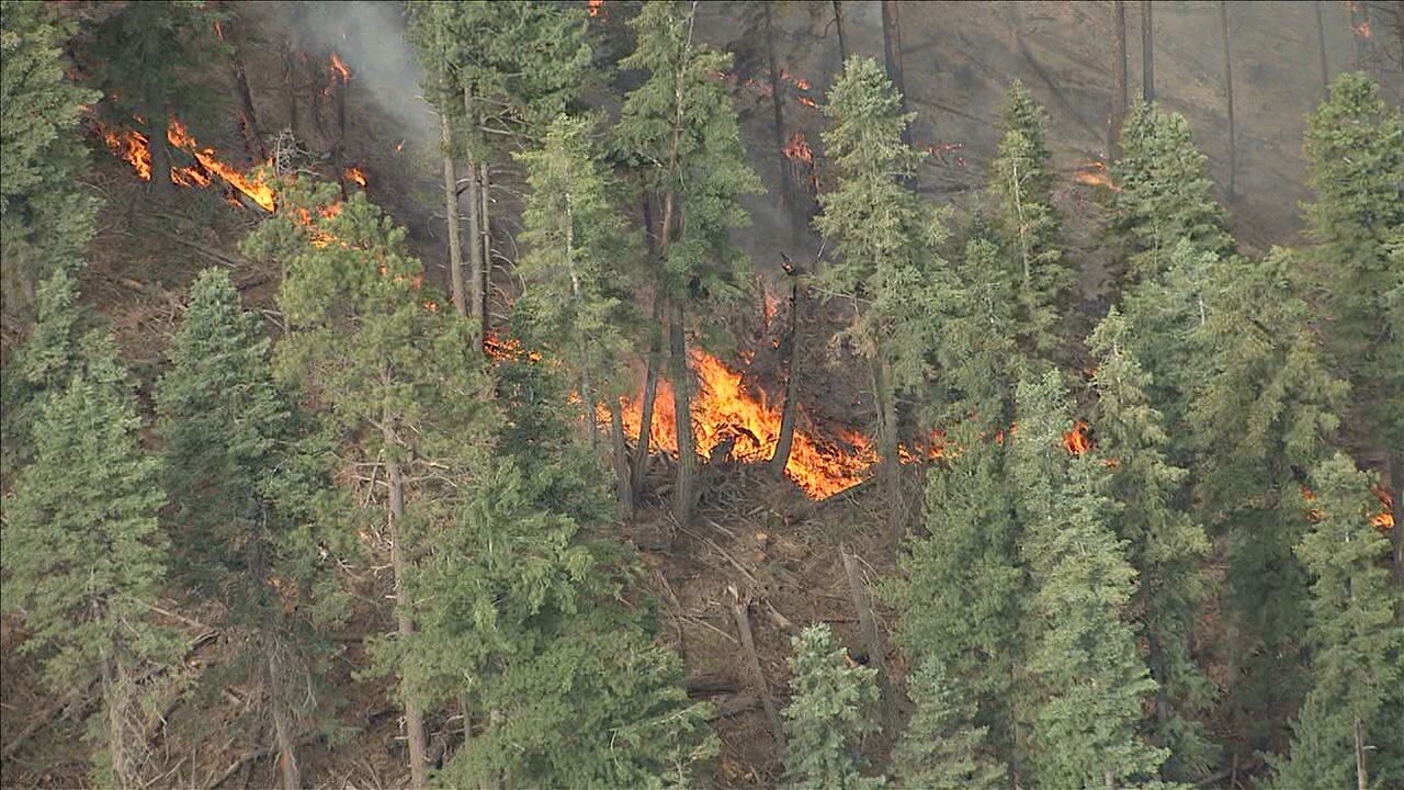 FAST FACTS: Museum Fire burning north of Flagstaff FAST FACTS: Museum Fire burning north of Flagstaff