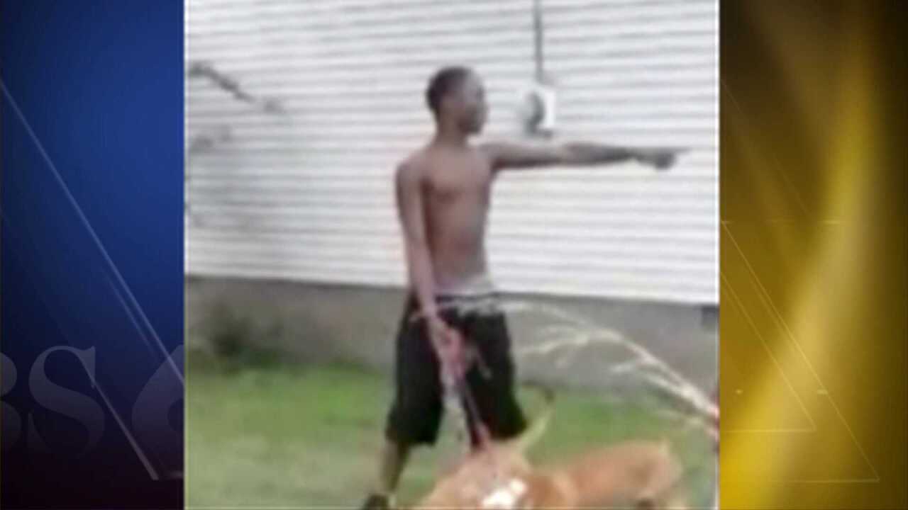 Police Arrest 14 Year Old After Kids Bait Dogs Into Killing Cat