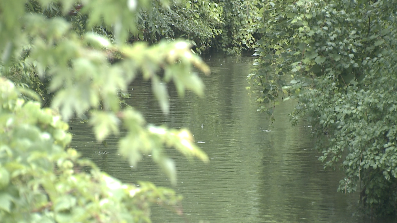 kzoo and creek flooding preps 5.png