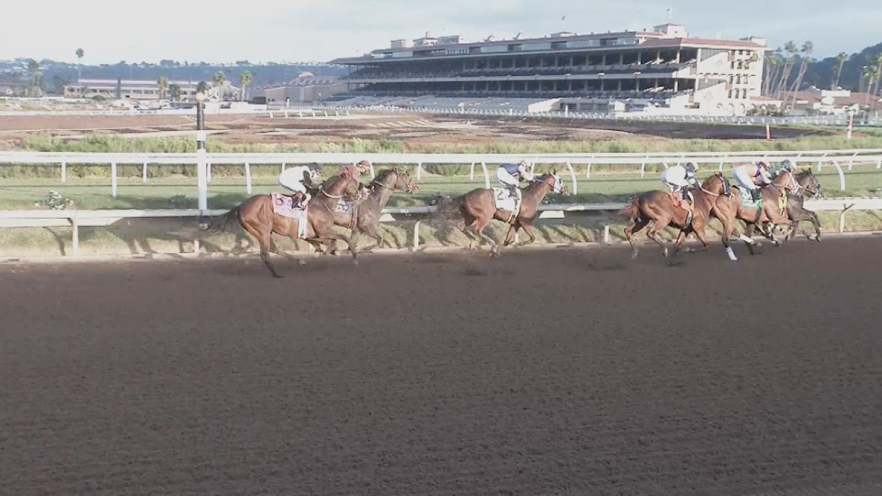 del mar named safest racetrack in the country for third straight year del mar named safest racetrack in the