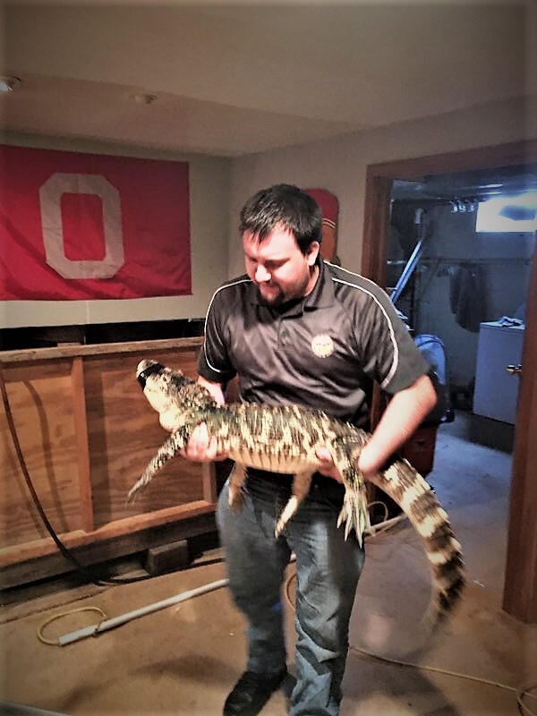 The Madison Township Police Department were called to a home for an alligator inside a home.