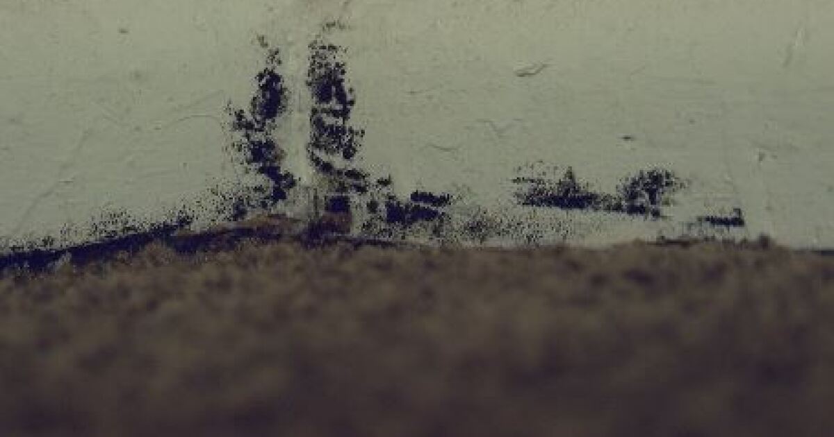 Southern Arizona mother says apartment for developmentally