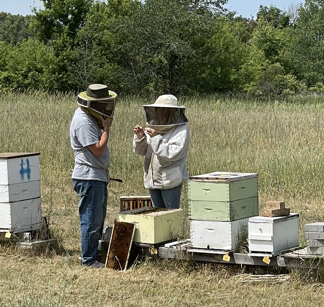 Chad Shirey and Hannah McIlree checking for propolis