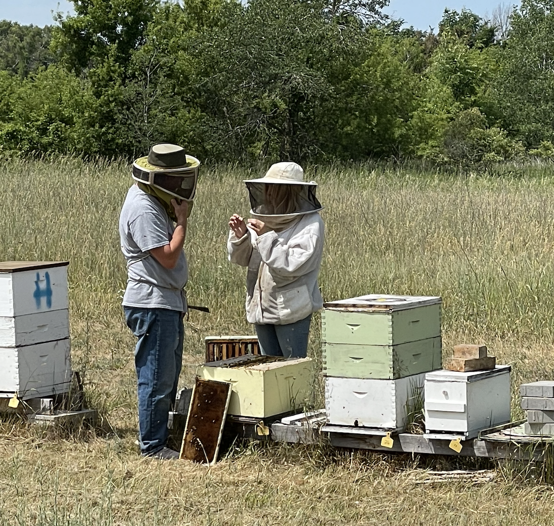 Chad Shirey and Hannah McIlree checking for propolis 