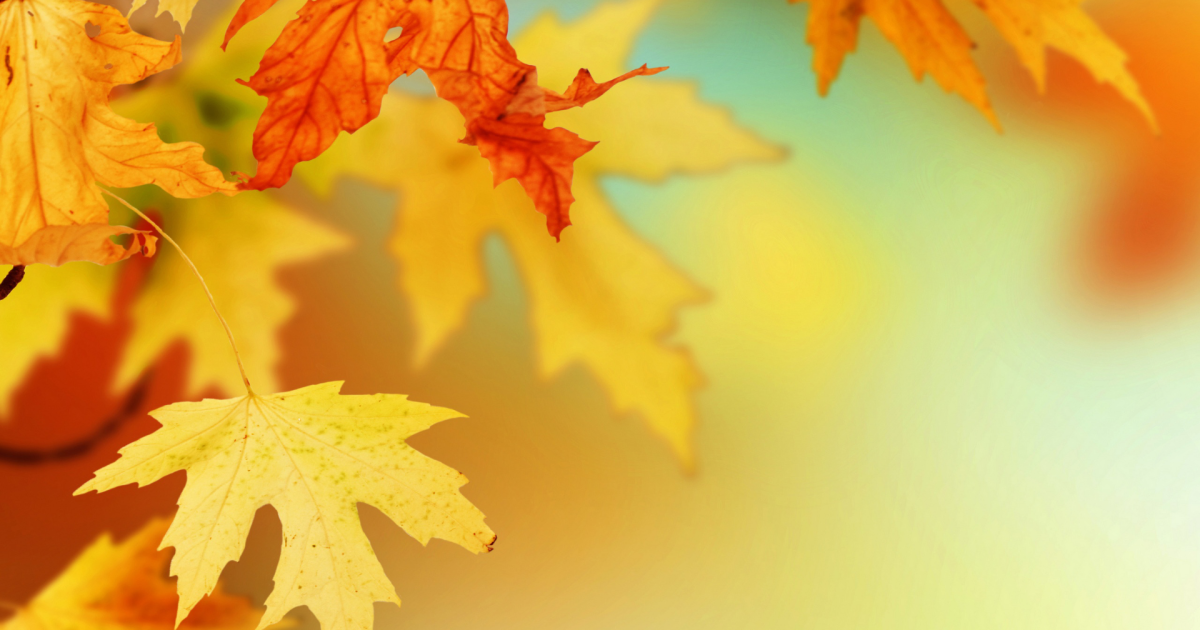 First Warning Forecast: A sunny start to October - Vimarsana News