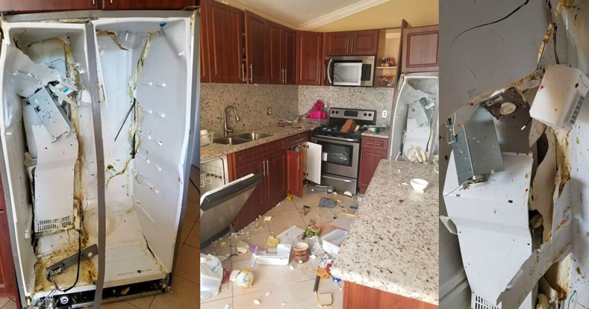 Fridge Exploding Gif A Florida family's Whirlpool refrigerator exploded inside their home