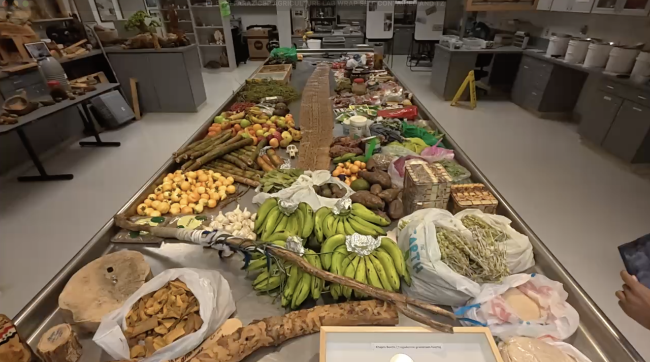 Screenshot 2025-09-21 at 3.56.41 PM.png