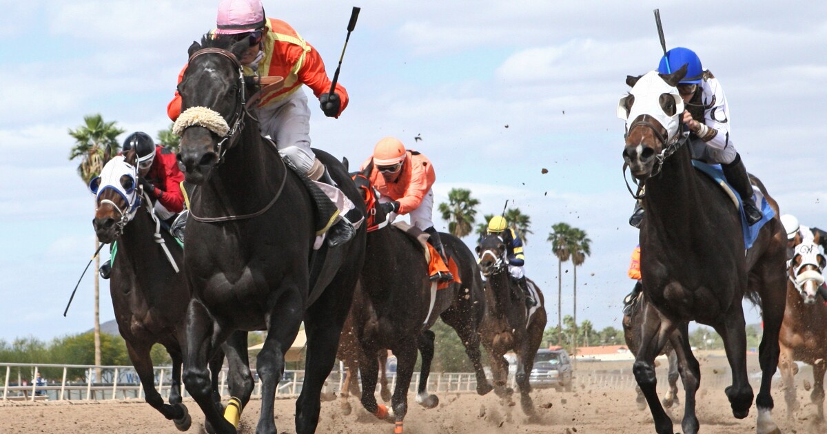 Arizona's new horse racing law may lead to legal action