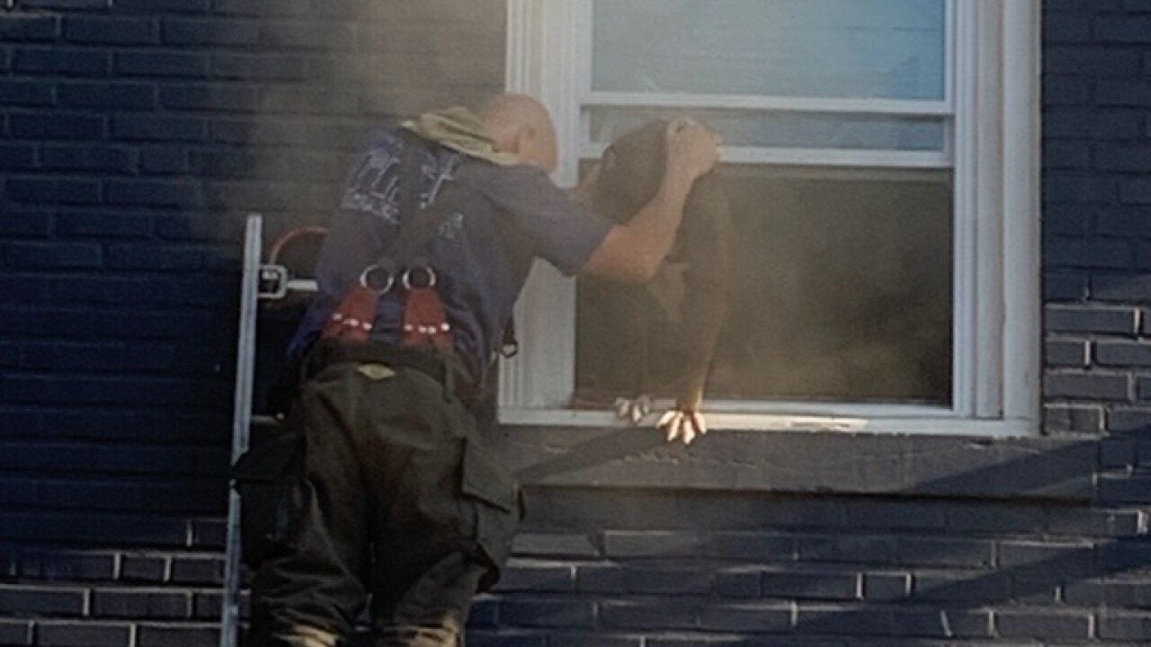 KCFD rescues four people, two pets from apartment fire in cities northeast