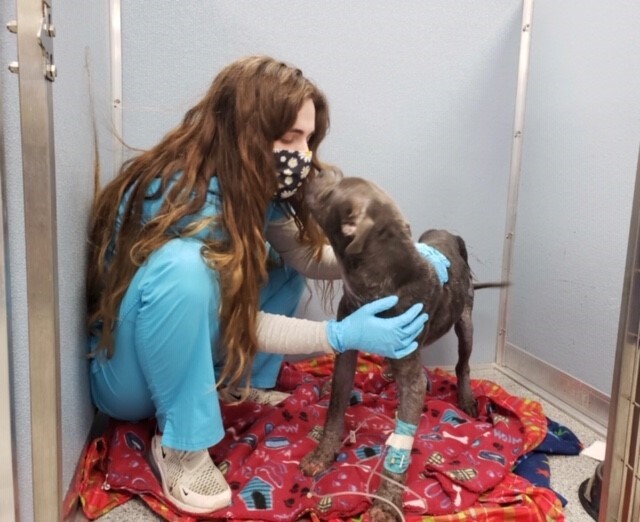 Ralphie giving kisses .jpg