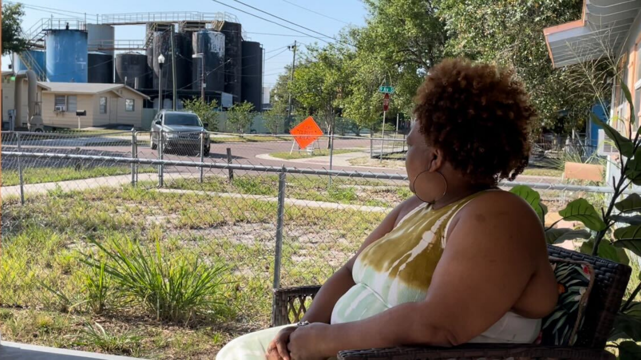 in depth childs park smell WFTS2.png