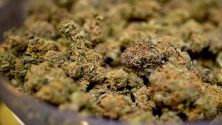 Forgotten weed stash donated to Goodwill