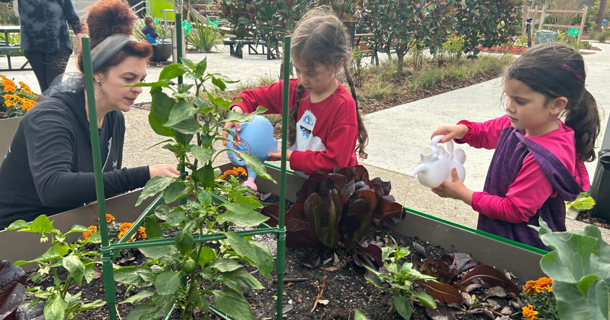 New list of nature classes for kids introduced at Florida Botanical Gardens - Vimarsana News