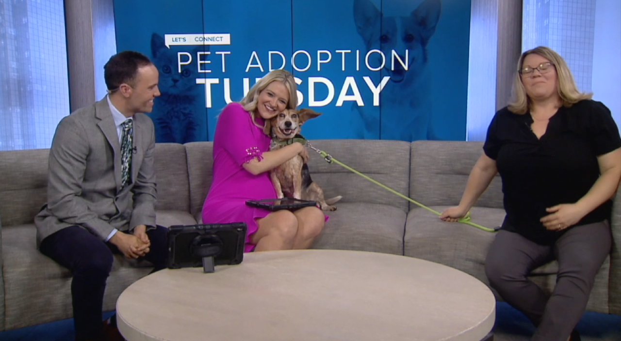 Tessa hugs dog during Pet Adoption Tuesday