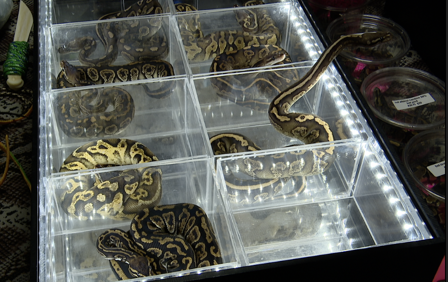 Screenshot 2024-10-05 at 2.53.50 PM.png