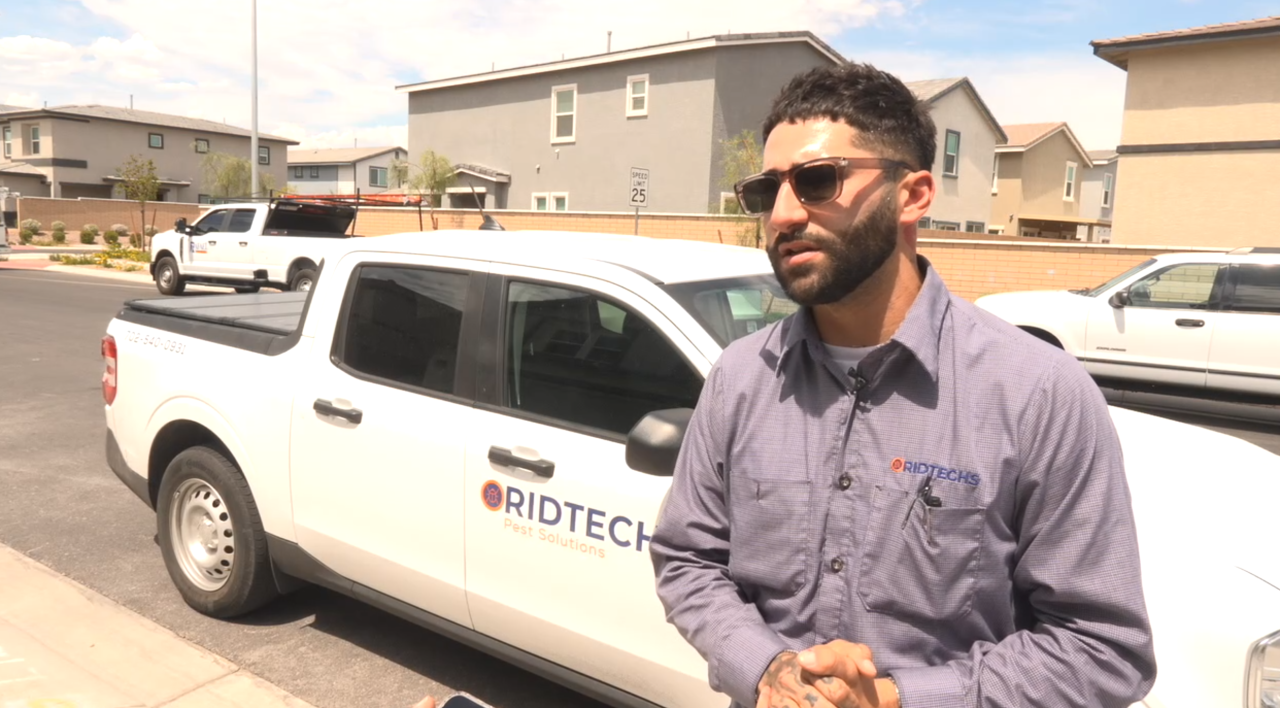 Free pest control offered amid Henderson cockroach invasion