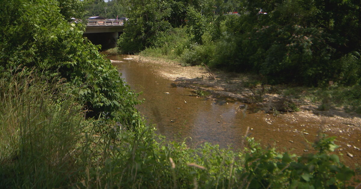As Waverly nears the five year mark since the deadly flood ...