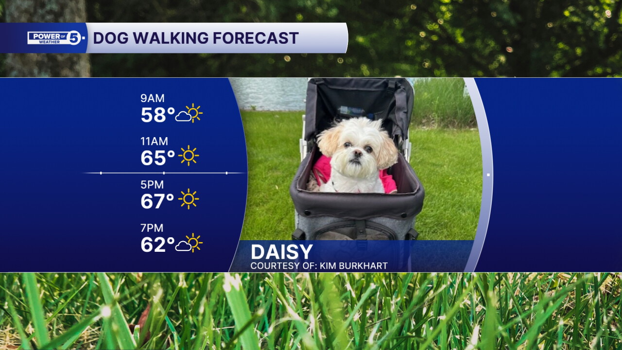 Daisy