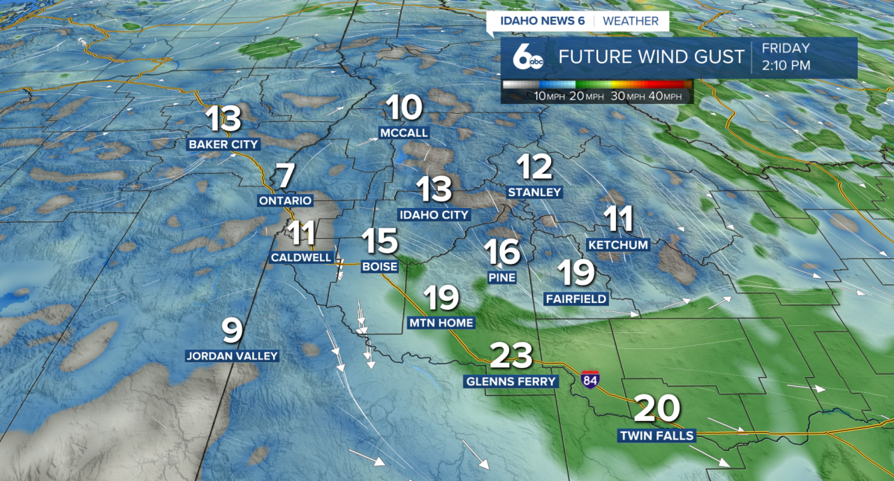 Future Wind Gusts