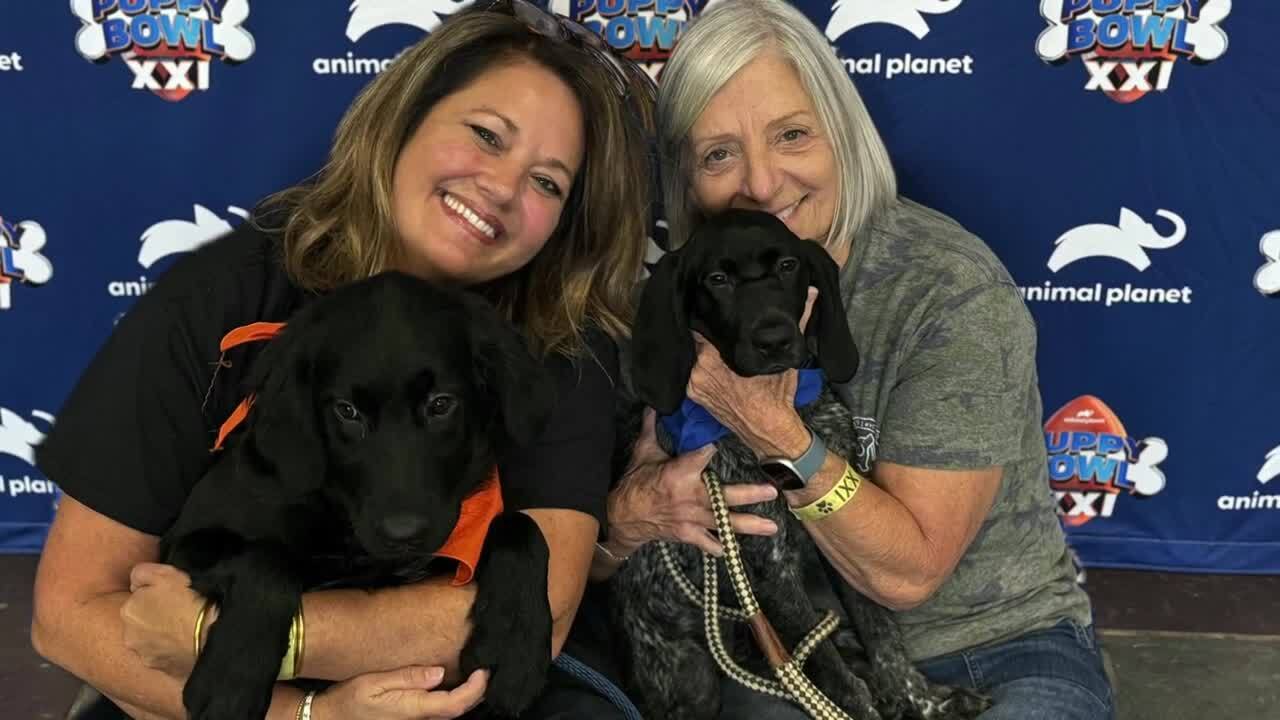 Puppy Bowl 2025