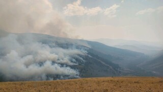 Bear Creek Fire