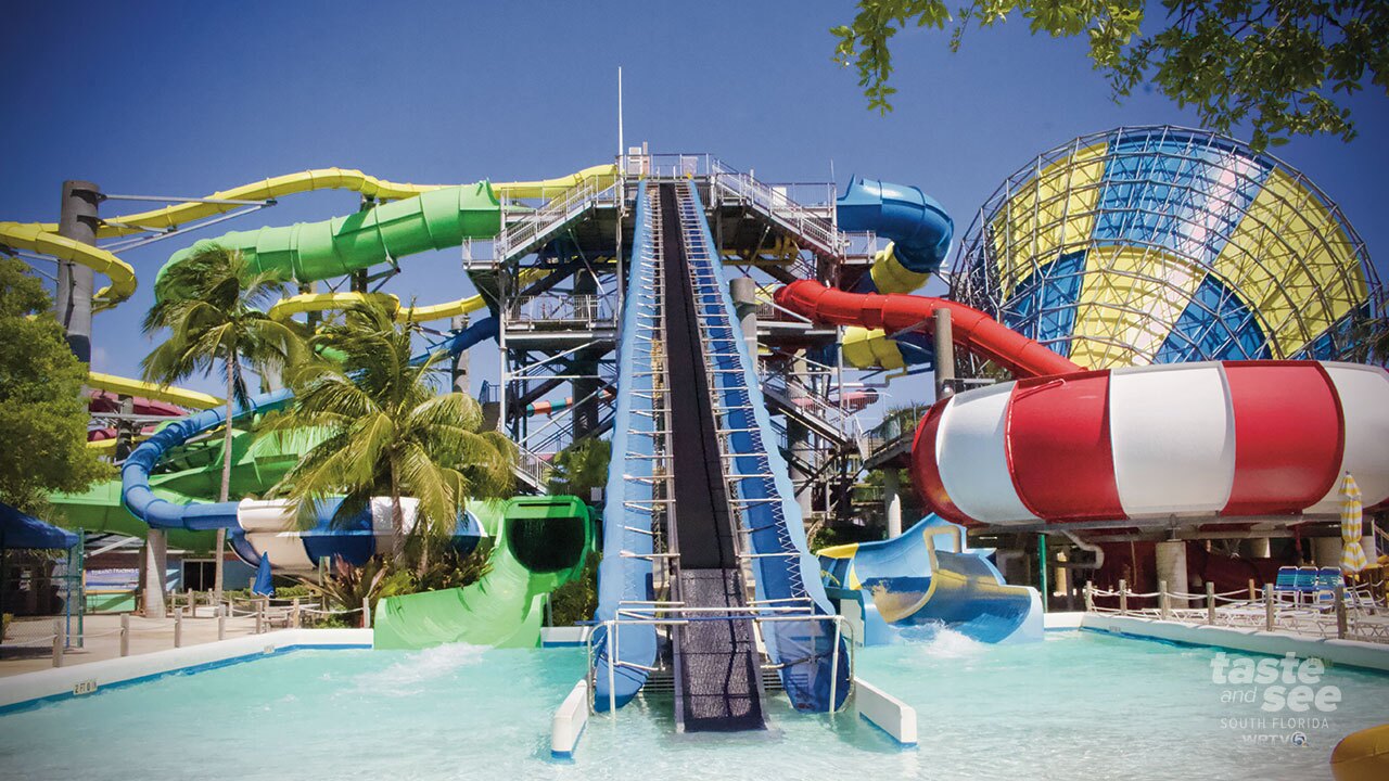 Dads get free admission to Rapids Water Park for Father's Day weekend