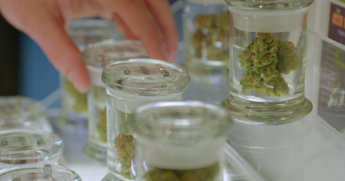 Ohio weed companies in limbo until lawmakers decide on Issue 2 changes