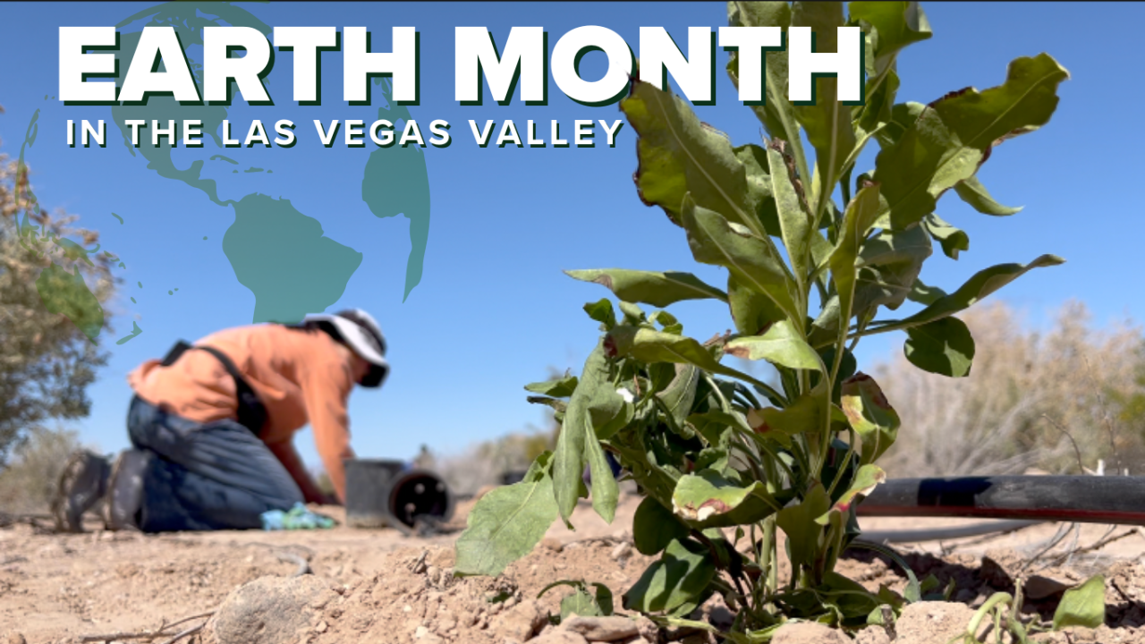 Earth Month Activities.png