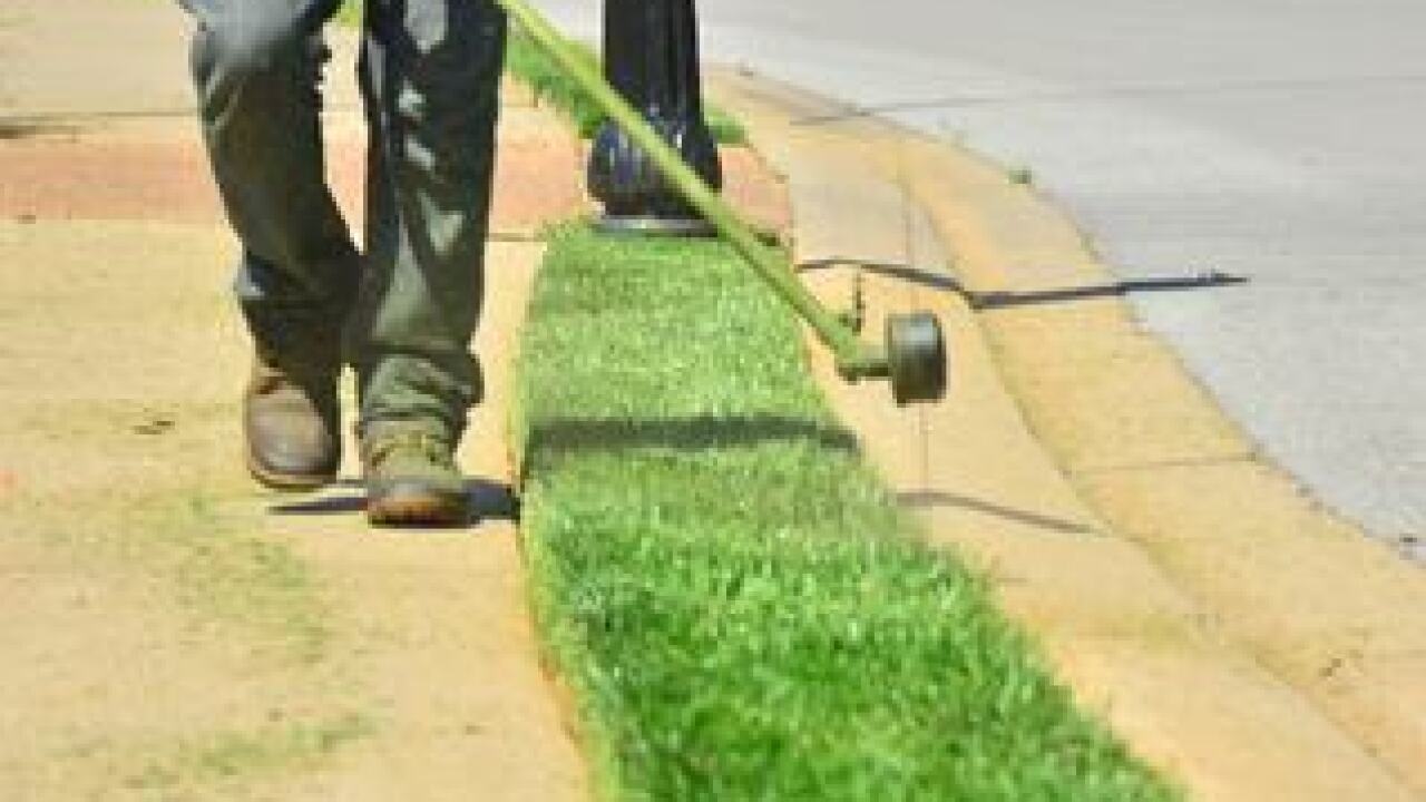GreenPal app launches in Detroit to help with lawn care