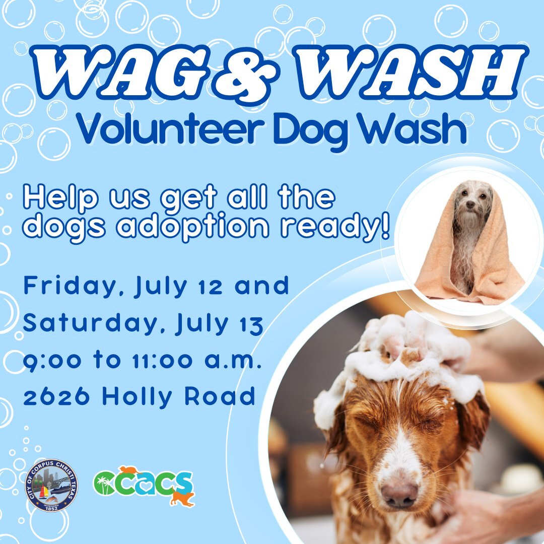 Wag & Wash Volunteer Dog Wash