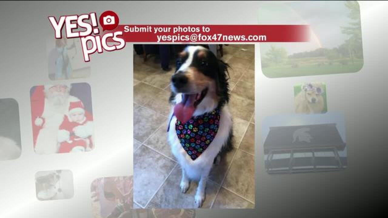 Yes! Pics: 5/9/18
